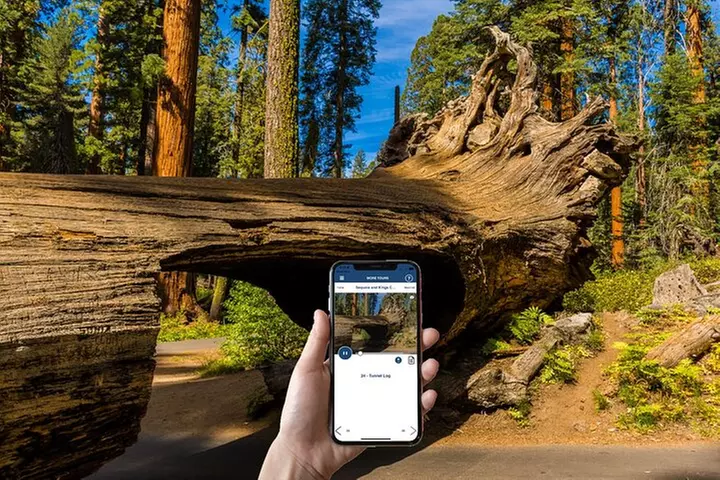 Sequoia & Kings Canyon NP Self-Guided Driving Audio Tour
