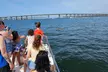 Daily Dolphin Cruise + Sightseeing Tour on Pensacola Beach - Second Medium