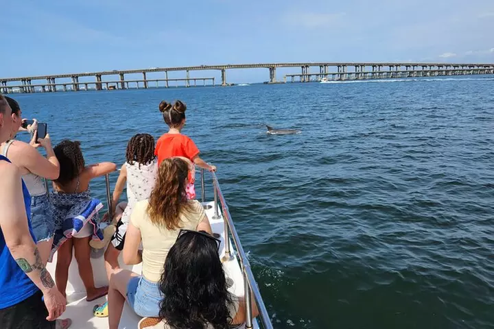 Daily Dolphin Cruise + Sightseeing Tour on Pensacola Beach