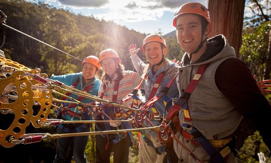 Image 1: Launceston Hollybank Tree Ropes Experience
