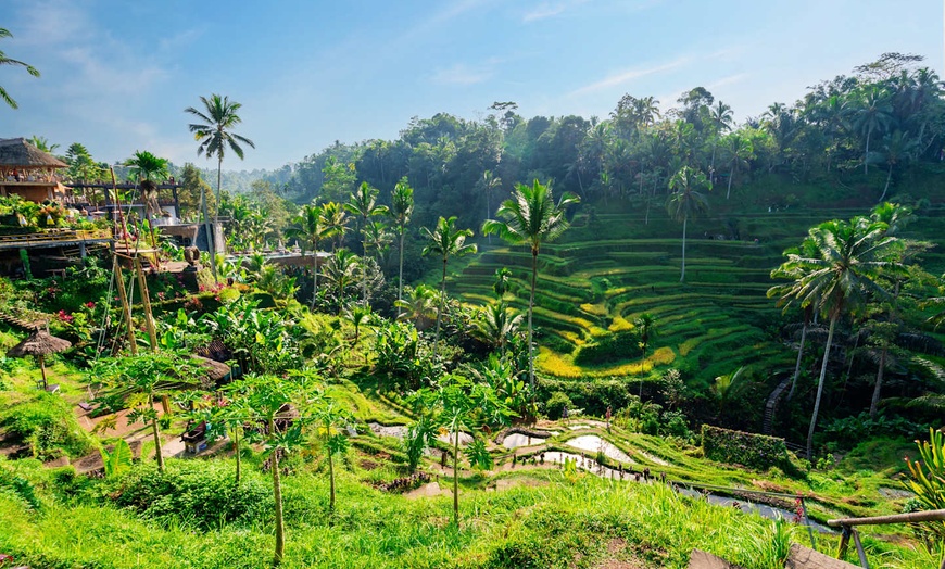 Image 3: ✈ INDONESIA | Bali, Lombok e Gili Trawangan - Fuga Tropicale a Bali...