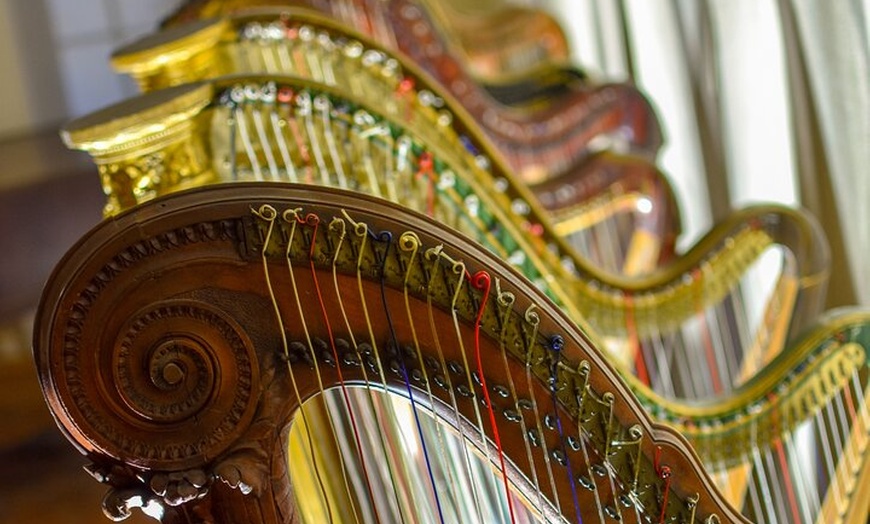 Image 2: Billet d'entrée au Musée des instruments de musique du Palais Lascaris