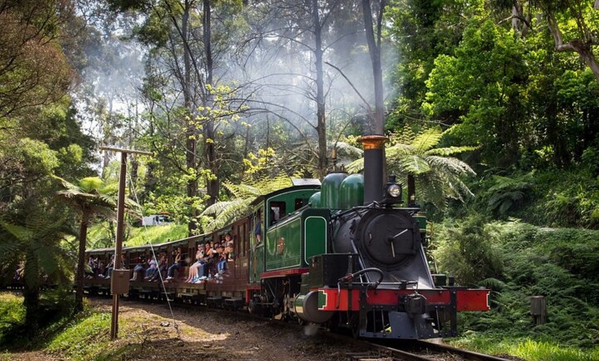 Image 6: Puffing Billy Tour and Penguin Parade from Melbourne