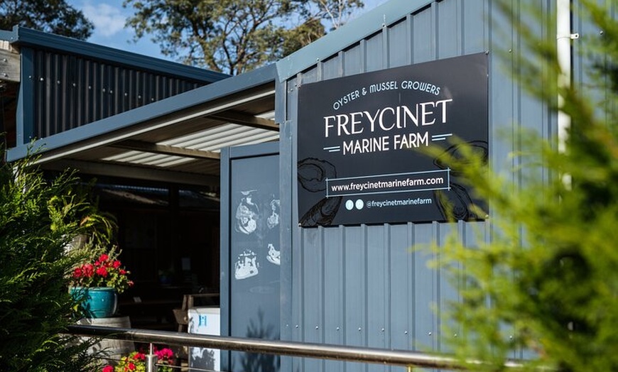 Image 11: 6 Day Island Icons Tassie Day Tour Bundle