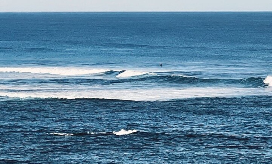 Image 5: Private Great Ocean Road Tour