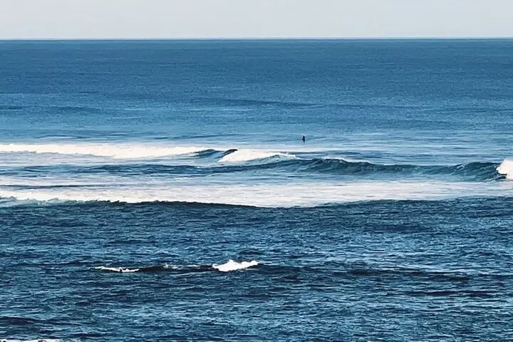 Melbourne: The Great Ocean Road Private Tour - Image 5