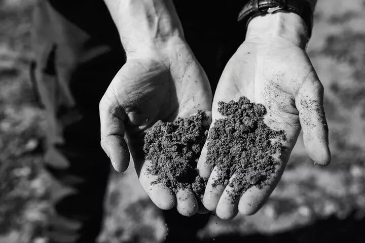 Winemaker Tour & Barrel Tasting