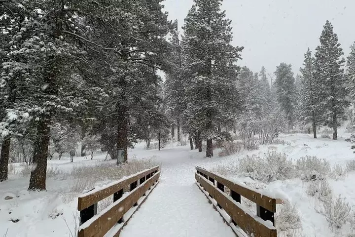 Ultimate Snowplay Adventure at Mount Charleston - Primary Image