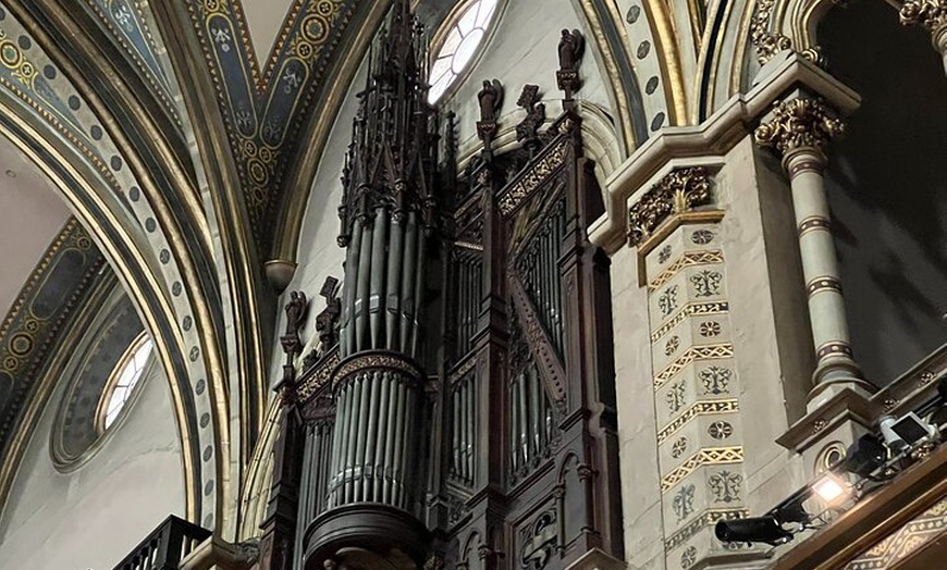 Image 18: Excursión privada al Monasterio de Montserrat con recogida en el hotel