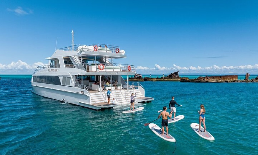 Image 4: Dolphin & Tangalooma Wrecks Snorkel Cruise & Lunch - Brisbane