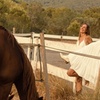 Image 23: Ibiza: Experiencia privada de naturaleza a caballo