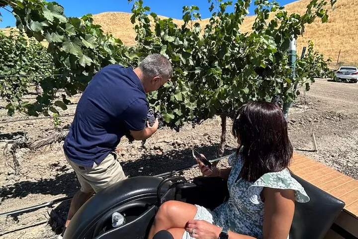 The Luxe Wine Trail Excursion Paso Robles