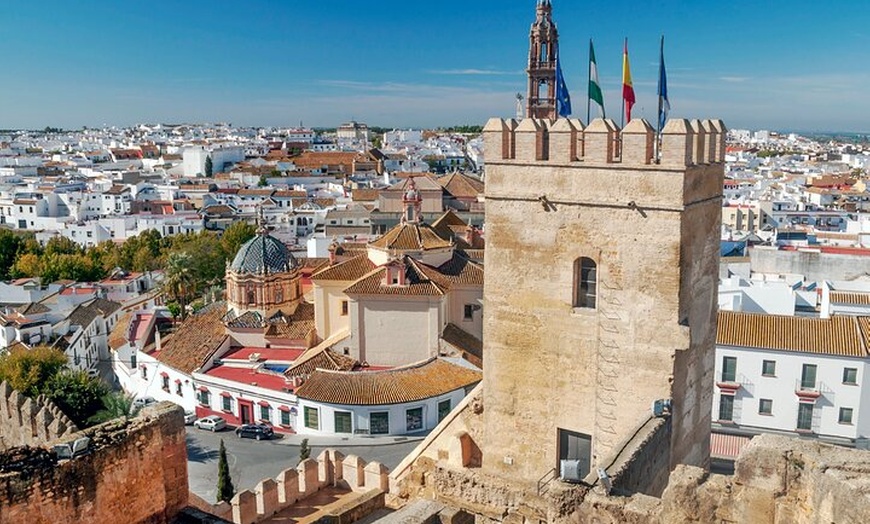 Image 4: Excursión Privada Medio Día a Carmona desde Sevilla
