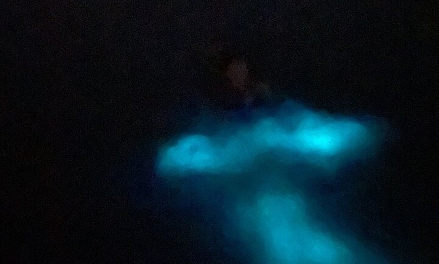 Image 5: Bioluminescent Bay Boat Tour Transport Snack and Snorkeling