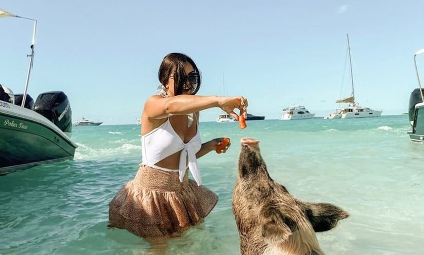 Image 8: Ultimate Exuma Cays Experience: Full-Day Group Tour from Nassau
