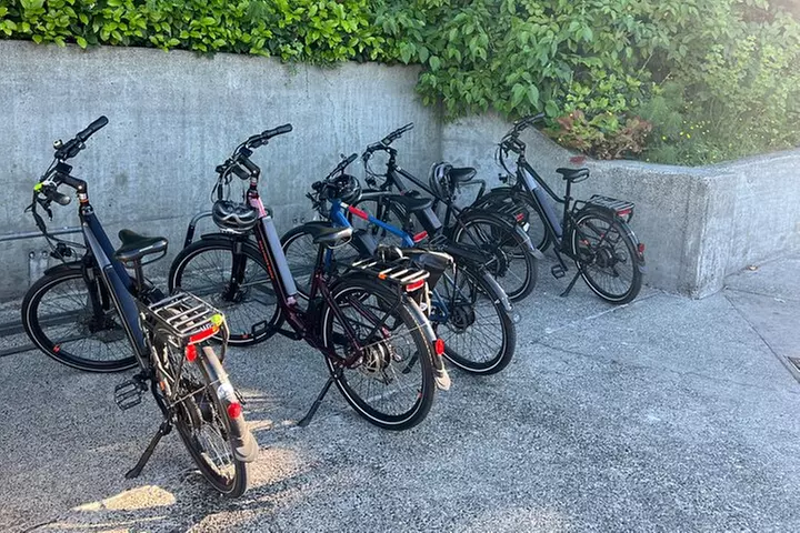 West Seattle Electric Bike Tour