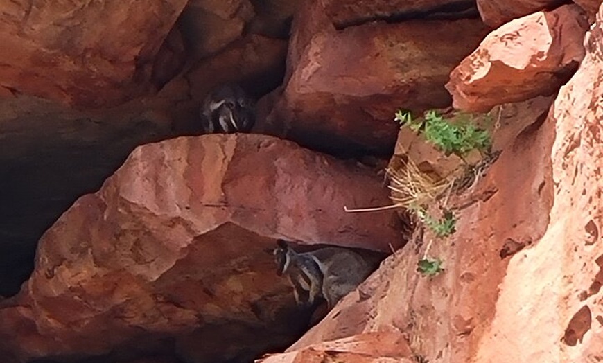 Image 2: Explore the Hidden Gorges: Kalbarri 4WD, Hike, Canoe Experience