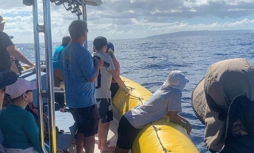 Image 15: Maui Whale Watching: 2-Hour Small Group Raft Tour from Lahaina