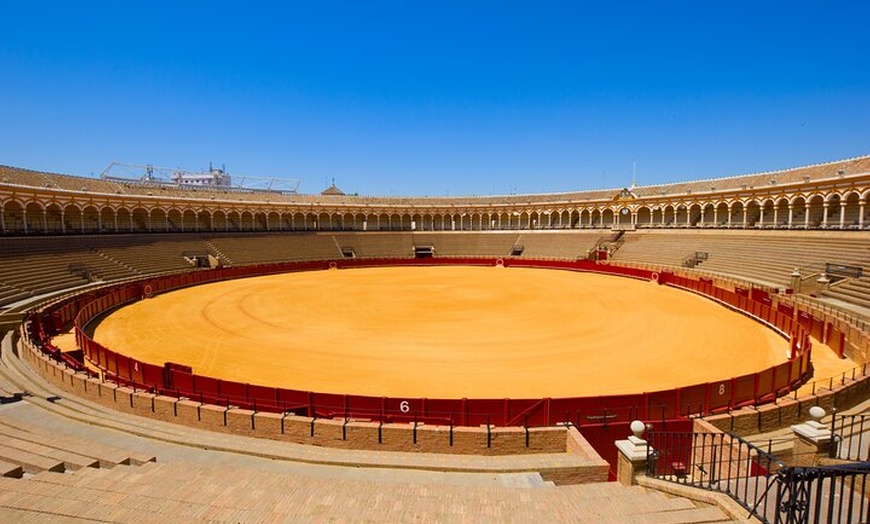 Image 5: Ronda y Excursión privada al campo andaluz desde Málaga