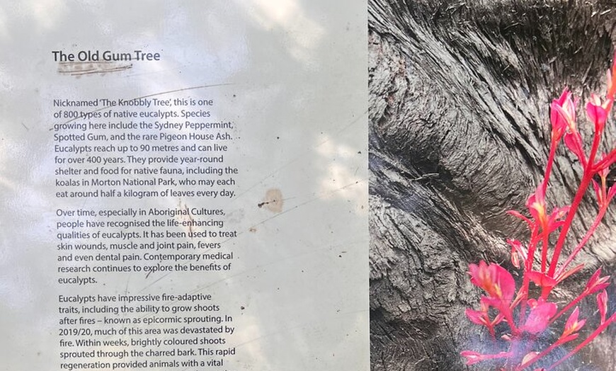 Image 38: Sydney South Coast and Highlands Private Tour