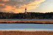 Narrated Tour of Chincoteague, Wild Pony and Nature Cruise - Second Medium