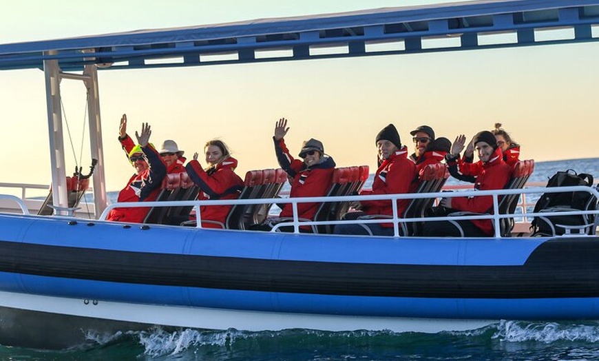 Image 10: Hunter Coastal Adventure Tour by Boat from Newcastle