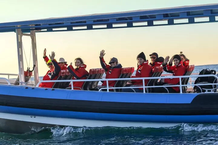 Hunter Coastal Adventure Tour by Boat from Newcastle