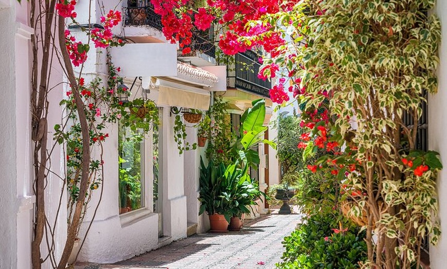 Image 6: Visita Privada Centro Histórico de Marbella
