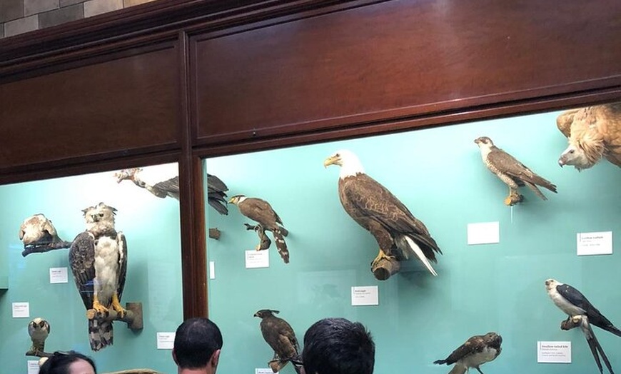 Image 46: Luxury Private Tour in London