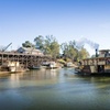 Image 1: Murray River Cruise and Wildlife Adventure Private Tour