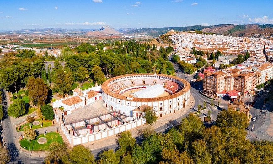 Image 9: Málaga Destacados : Tour Privado & Personalizable