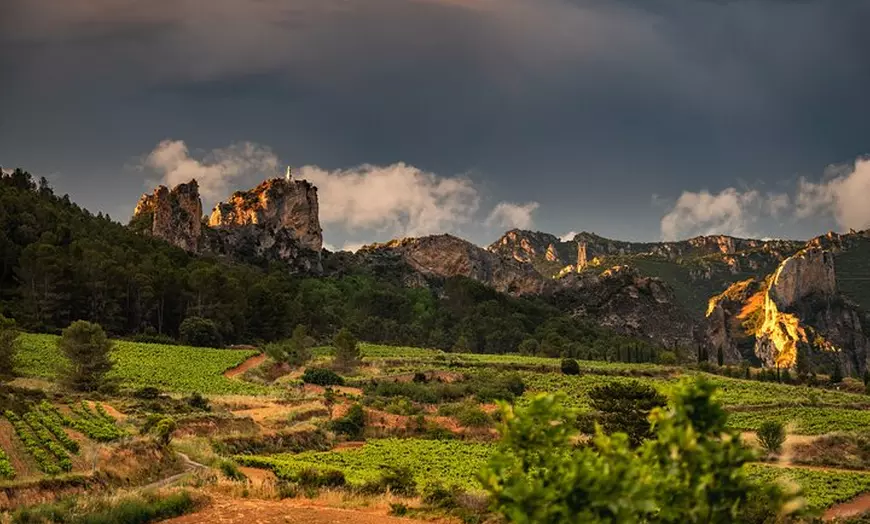 Image 9: Visita a bodega con Cata de 3 Vinos y Aperitivos