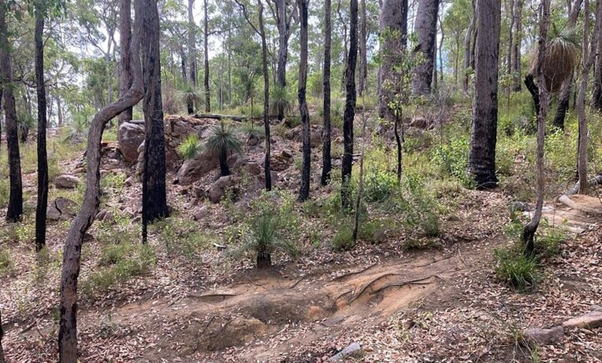 Image 4: Local Gems 3 Hour MTB Small Group Tour