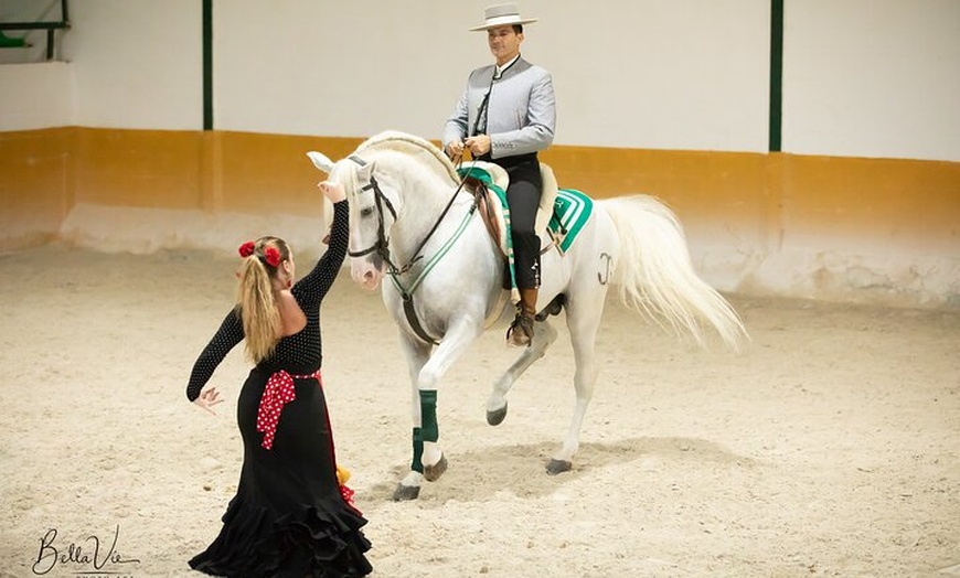 Image 2: Espectáculo de Caballos Andaluces y Flamenco con transporte