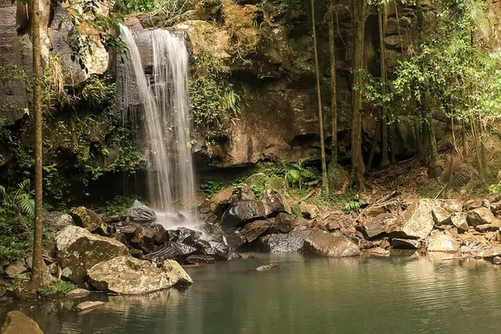 Tamborine Mountain Winery and Glow Worm Caves Tour - Primary Image