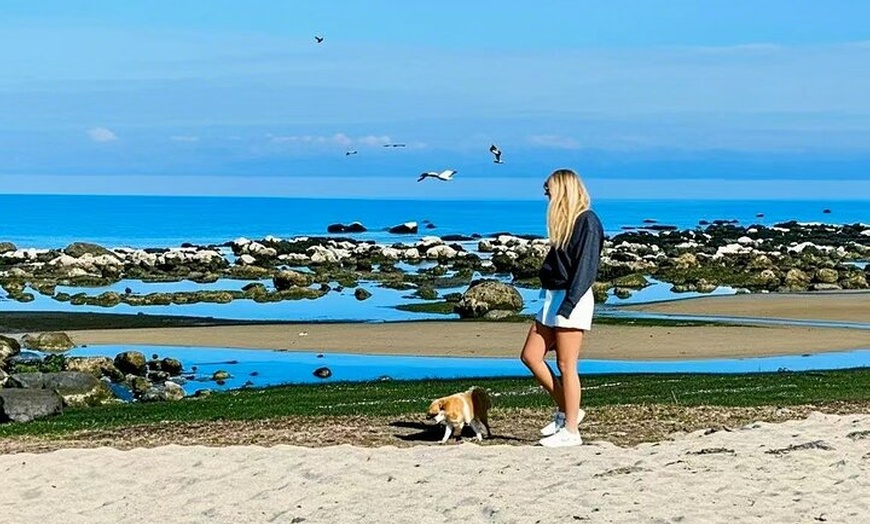 Image 5: Melbourne Great Ocean Road Mercedes Mini Bus & Luxury Coach Tour