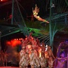 Image 4: ✈ CUBA | Havana - Mystique By Royalton Habana & Tropicana Show incl...