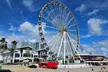 Double Decker Sightseeing Bus Tour of Miami in English & Spanish - Second Medium