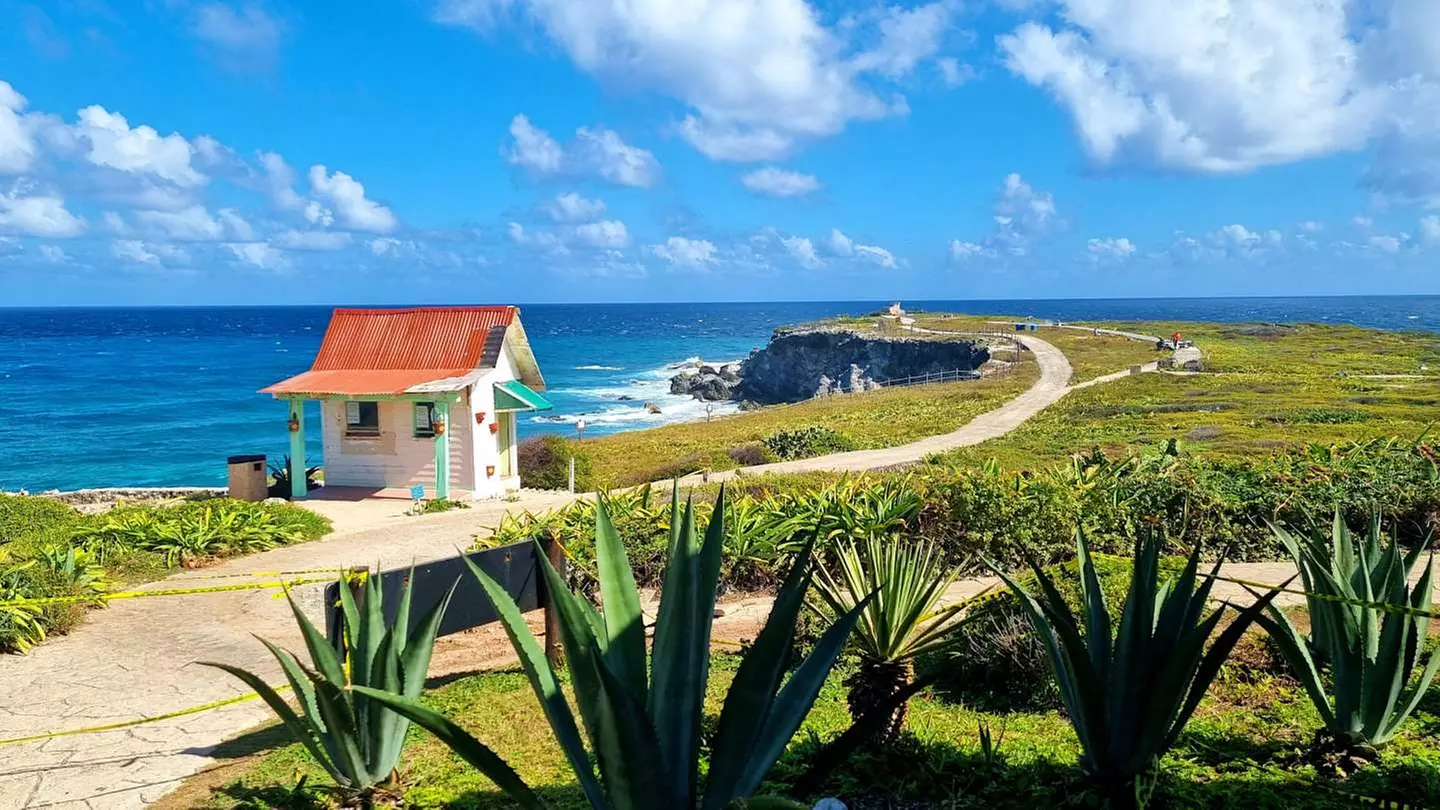 ✈ MESSICO | Cancún - Oh Cancun The Urban Oasis & Isla Mujeres Inclu...