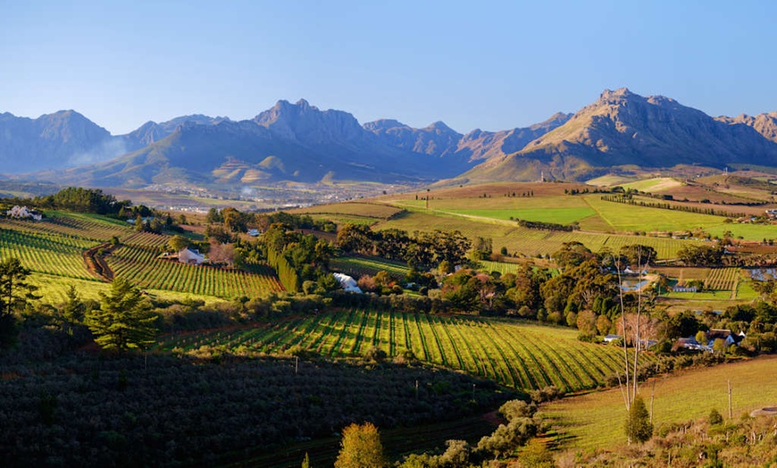 Image 3: ✈ AFRIQUE DU SUD | De Cap Town à Johannesburg - Autotour en Afrique...