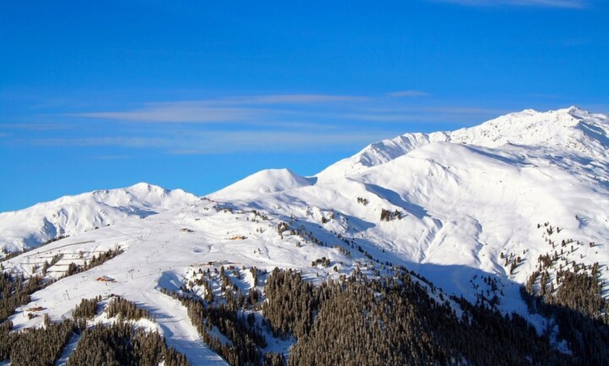 Image 3: Melbourne: Ultimate Mt Baw Baw Snow Private Tour Experience.