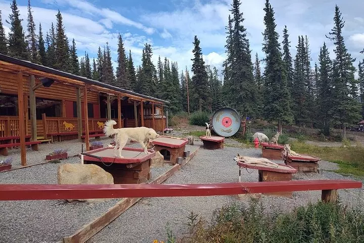 Husky Homestead Tour