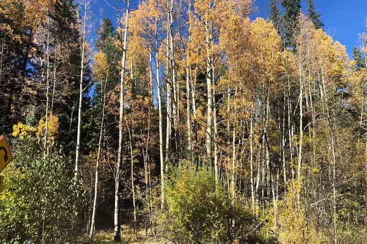 Private tour hiking to Saint Mary's Glacier, Red Rock and Hot Springs - Primary Image