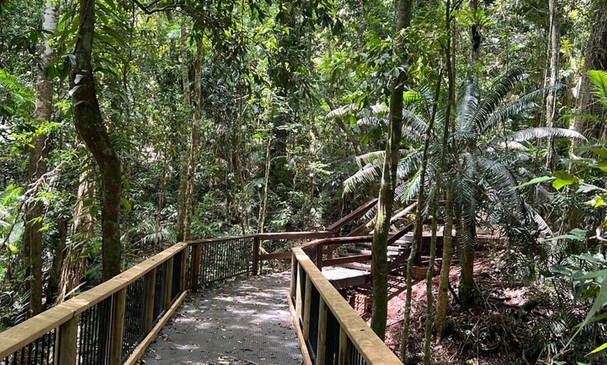 Image 23: Private Guided Tour in Port Douglas and Surrounds