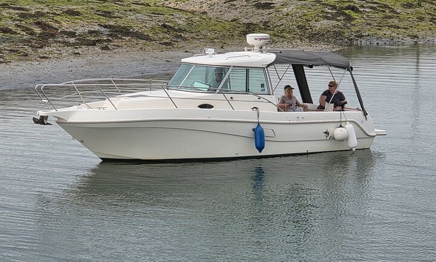 Image 5: Hayling Island Scenic Boat Tours Wildlife and Coastline Adventure