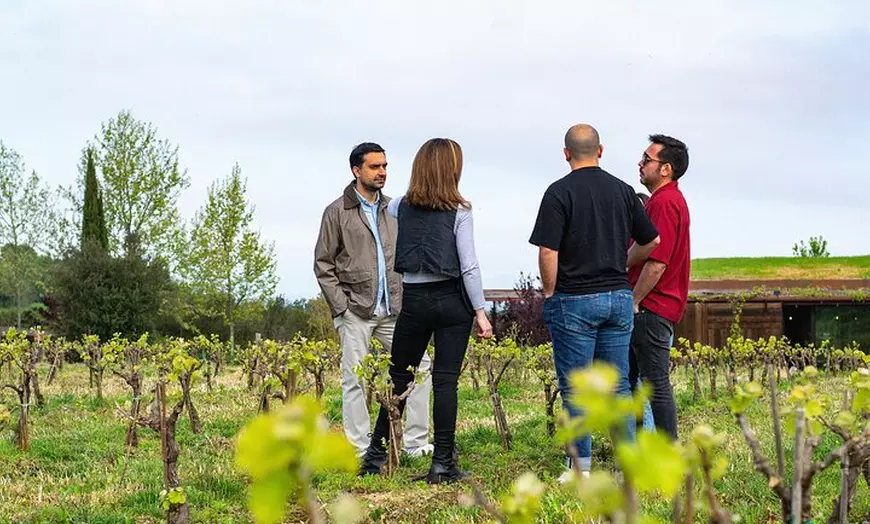 Image 6: Paseo entre viñas y cata de vinos en el Empordà