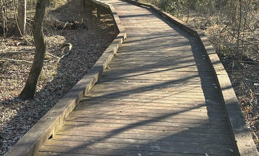 Image 9: Magical Golf Cart Tour Through Peachtree City Trails