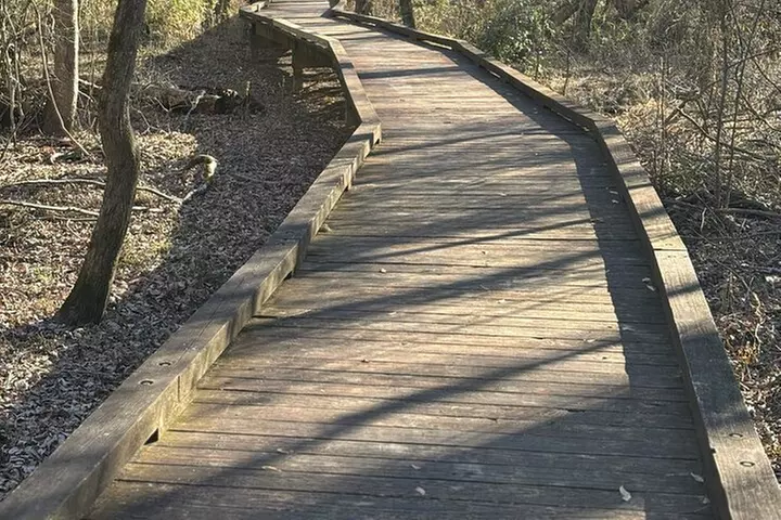 Magical Golf Cart Tour Through Peachtree City Trails