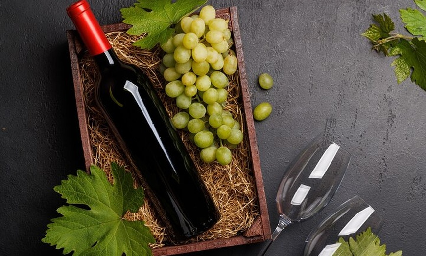 Image 6: Tour de Lujo en Priorat y Cata de Vinos Con Almuerzo