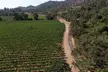 Vine Trail Discovery E-Bike Tour - Second Medium